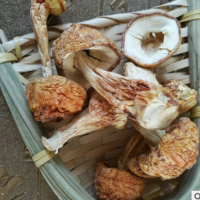 姬松茸蘑菇干货食用菌 农产品特产批发 干姬松茸 一件代发