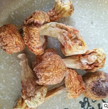 姬松茸蘑菇干货食用菌 农产品特产批发 干姬松茸 一件代发图2