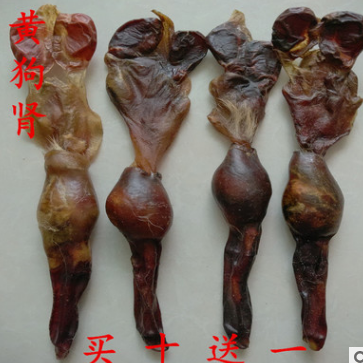 批发供应 优质中药材 大条 黄狗肾图1