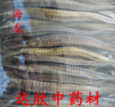批发供应 正品中药材 优质海龙图1