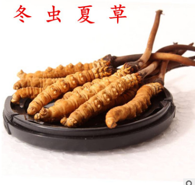 批发供应 名贵中药材虫草 纯天然 那曲 冬虫夏草图3