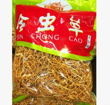 金虫草花图2