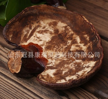 批发供应 赤灵芝统货 紫灵芝 纯天然 野生灵芝 各种规格 大货供应图2
