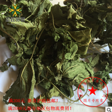 批发供应桑树叶 桑叶 中药材 纯干无杂 质量保证图2