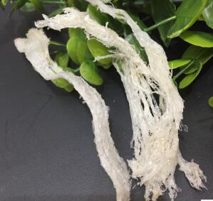 原产地批发东南亚燕窝优质燕窝图3