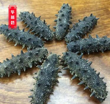 批发大连纯淡干海参天然野生刺参长岛深海野生海鲜干货一件一斤装图2