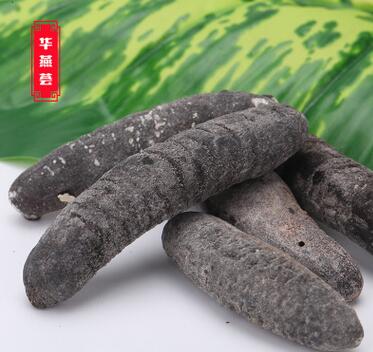 批发原生态天然明秃海参 纯野生淡干海参干货高皮质发头高图2