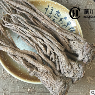 供应甘肃当归 十支归 取须精品归 产地直销 优质中草药当归批发图1