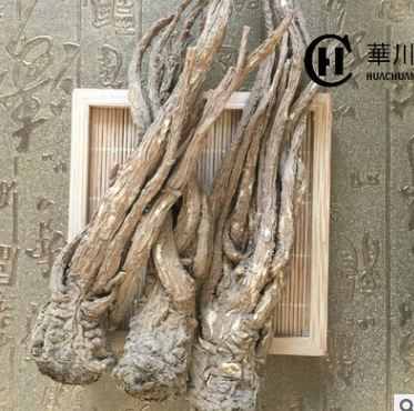 供应甘肃当归 十支归 取须精品归 产地直销 优质中草药当归批发图2