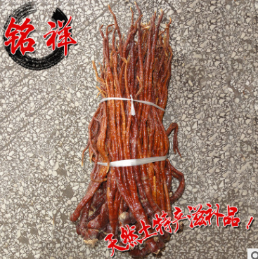 厂家供应 安国灵芝草灵芝 野生赤芝批发 优质灵芝草野生赤灵芝图3