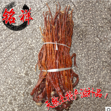 厂家供应 安国灵芝草灵芝 野生赤芝批发 优质灵芝草野生赤灵芝图2