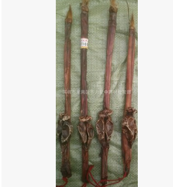 优质供应批发 牛鞭 牦牛牛鞭 黄牛牛鞭图3