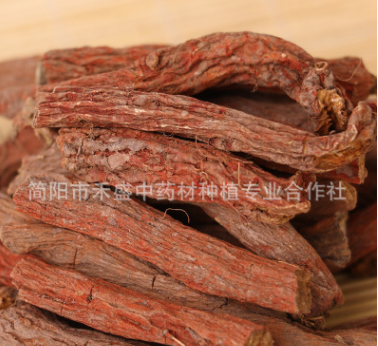 地道中药材 四川紫丹参 中江丹参粉 丹参茶 花草茶活血化瘀图3