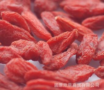 gouqi批发宁夏中宁枸杞王免洗贡果级枸杞220粒/50g无硫图3