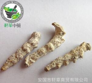 中药材 昆虫类药材僵蚕 白僵蚕图1