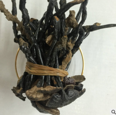 帝品堂灵芝直销 东北吉林长白山纯正灵芝 野生灵芝批发深山灵芝图2