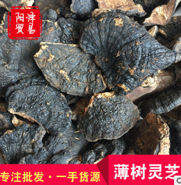 批发野生薄树芝野生灵芝黑灵芝海南薄盖灵芝诚招代理支持一件代发图1