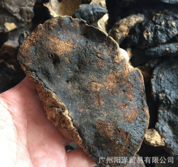 批发野生薄树芝野生灵芝黑灵芝海南薄盖灵芝诚招代理支持一件代发图2
