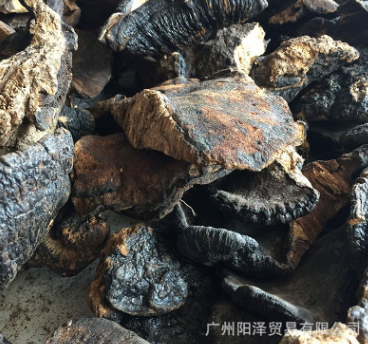 批发野生薄树芝野生灵芝黑灵芝海南薄盖灵芝诚招代理支持一件代发图3