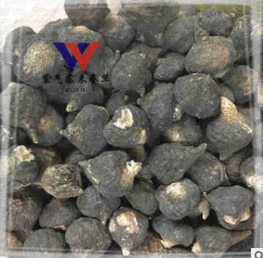 全黑色 正品黑色咖干果 黑色玛卡 玛咖精片 大玛卡批发玛卡图2