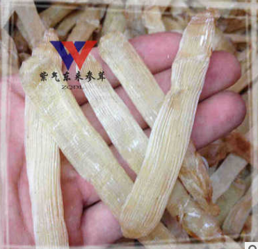 北铁海产品 方格星虫 肠虫干 沙虫 海鲜干货 北海特产图1