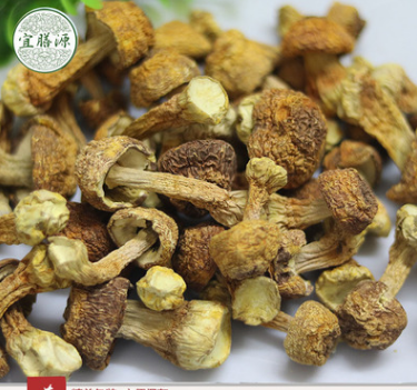 传统滋补品 食用菌系列 姬松茸 健脑益肾功食品 85元1斤图1