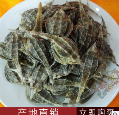 厂家直销海麻雀清水海燕子泡酒药材海洋珍贵药材干货批发一件代发图1