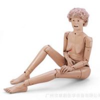 GERi?医疗护理技术训练全身模型 LF04001U