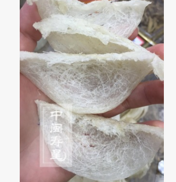 白燕燕窝 极轻毛燕干挑大盏丝馕分明无漂白无补碎图2