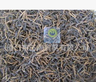 冬虫夏草批发 5条左右1克 新虫草到货 专业批发图3