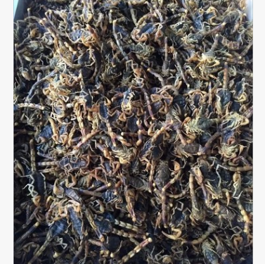 x6中药材优质全蝎 蝎子 全虫 少盐蝎子 药食两用特别好图2