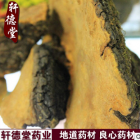 x4中药材批发/西藏桑树桑黄/桑黄/无硫磺