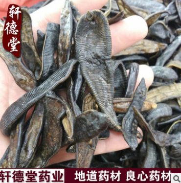 x75厂家产地直销批发中药材 清水大水蛭 加工超细粉 精细粉/水蛭图1