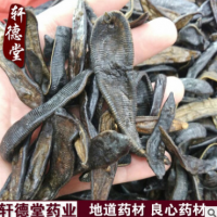 x75厂家产地直销批发中药材 清水大水蛭 加工超细粉 精细粉/水蛭