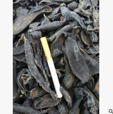 x75厂家产地直销批发中药材 清水大水蛭 加工超细粉 精细粉/水蛭图3