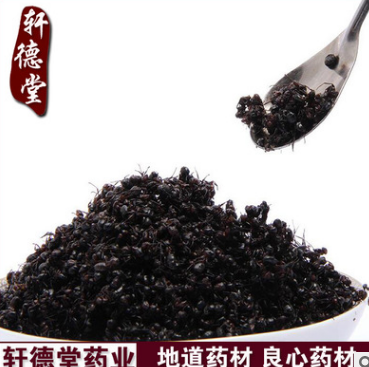 x44批发东北长白山黑蚂蚁 贵州拟黑多刺蚂蚁/蚂蚁粉图1