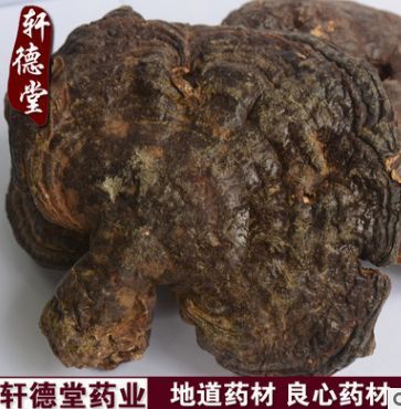 x5西藏灵芝赤灵芝金边白芯产地货源大赤芝直销量大从优图3