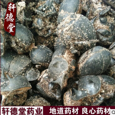 x266中药材蟑螂/大将军/冷背中药材/批发新货图1