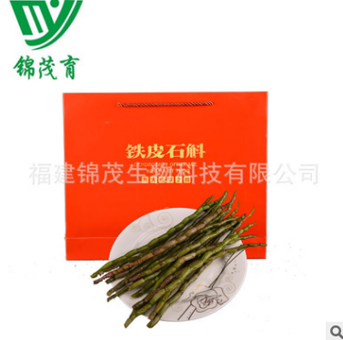 厂家直销 锦茂育YX-03 正品铁皮石斛鲜条 南靖铁皮石斛鲜条图3