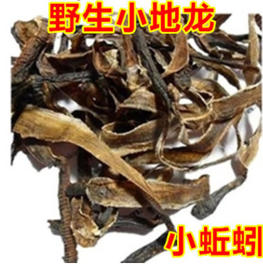 中药材野生地龙 蚯蚓粉 批发钓鱼食图1
