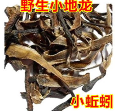 中药材野生地龙 蚯蚓粉 批发钓鱼食图2
