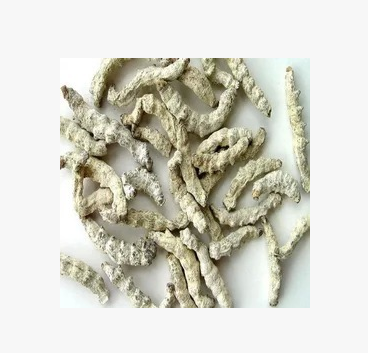 白僵蚕 中药白僵蚕粉 炒白僵蚕图2