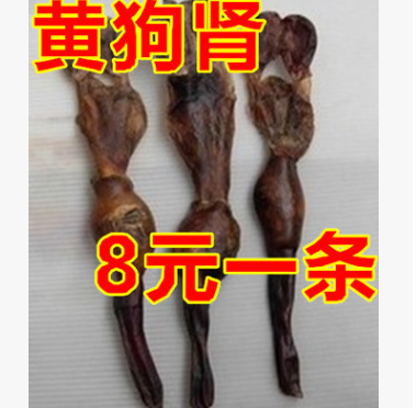 狗鞭 黄狗肾 泡酒中药材泡酒料图1