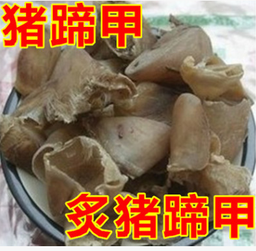中药材猪甲 猪蹄甲 批发猪蹄甲 炒猪甲 炙猪蹄甲图1