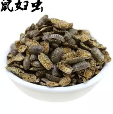 鼠妇虫、潮湿虫、潮虫、地虱婆 /中药材、药材图1