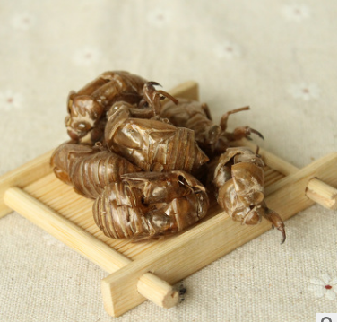 亳州中药原药材批发 蝉蜕 禅衣 虫蜕 产地直销 量大从优 招代理图3