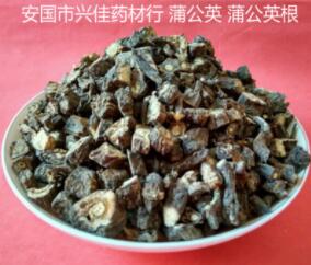 药食同源 中药材 多年生蒲公英根 炒熟公英根 婆婆丁图1