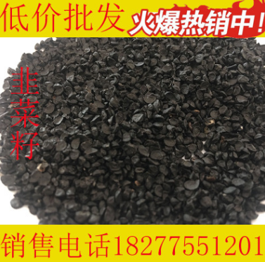 散装批发 纯天然 韭菜籽 韭菜子中药 药食同源养生菜籽类图1