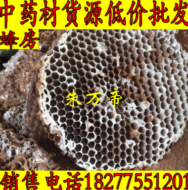 马蜂窝 蜂房 正宗蜂房 泡酒中药材蜂房 正宗硬蜂房 马蜂窝批发图1