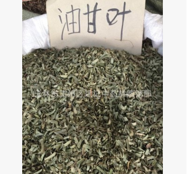 油柑叶 油甘叶余甘叶余甘子叶枕头枕芯填充物图1
